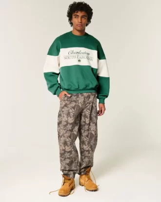 Baggy Cinch Charleston Graphic Crew collegepaita