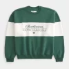 Baggy Cinch Charleston Graphic Crew collegepaita Baggy Cinch Charleston Graphic Crew collegepaita