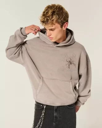 Baggy Cinch Spider Graphic -huppari