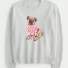 Hollister Comfy Cloud Puppy Graphic Crew -villapaita