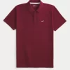 Ikoni Polo Ikoni Polo