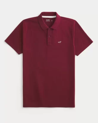 Ikoni Polo