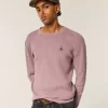 Spider Graphic Thermal Crew -paita Spider Graphic Thermal Crew -paita
