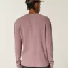 Spider Graphic Thermal Crew -paita Spider Graphic Thermal Crew -paita