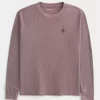 Spider Graphic Thermal Crew -paita Spider Graphic Thermal Crew -paita