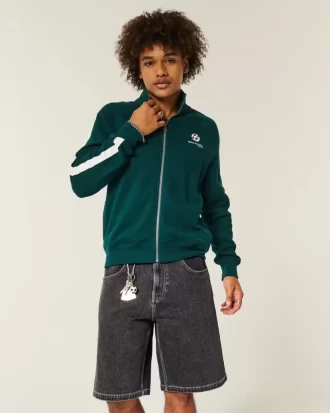 Tiger Graphic Baggy Denim shortsit